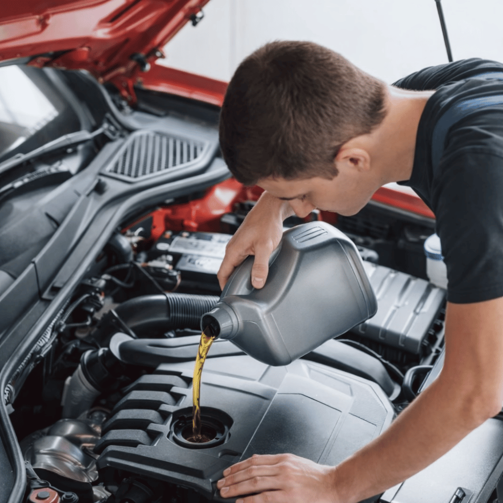 Motor Well Automotive Expert Mechanic